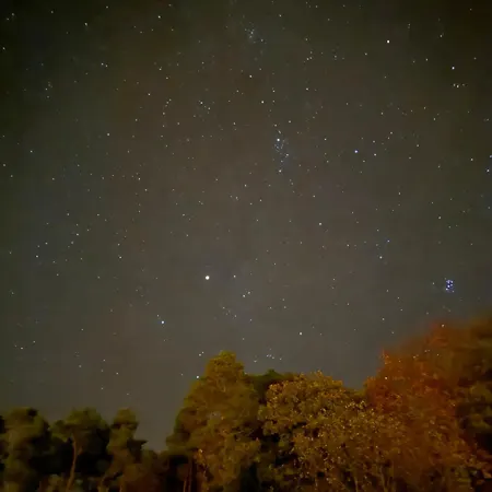 Apartment Igelnest Im Kuestenwald