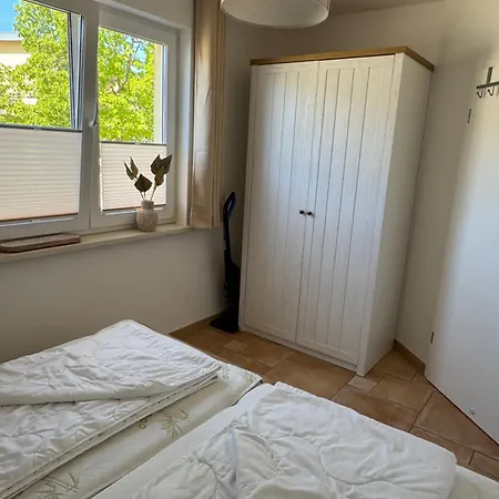 Igelnest Im Kuestenwald