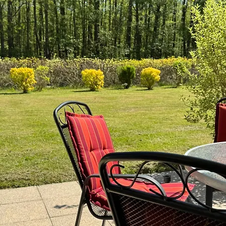 Igelnest Im Kuestenwald *