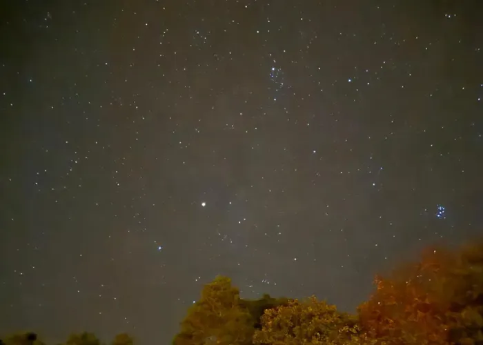 Lägenhet Igelnest Im Kuestenwald