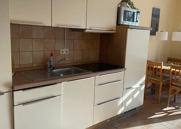 Igelnest Im Kuestenwald *