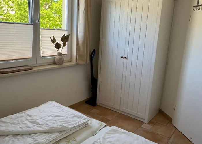 Igelnest Im Kuestenwald