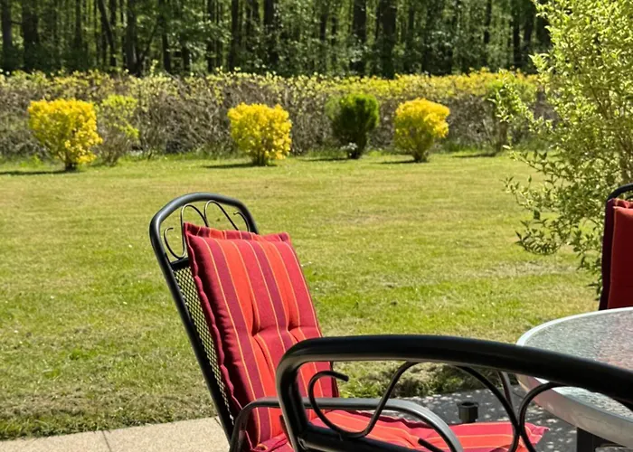 Igelnest Im Kuestenwald *